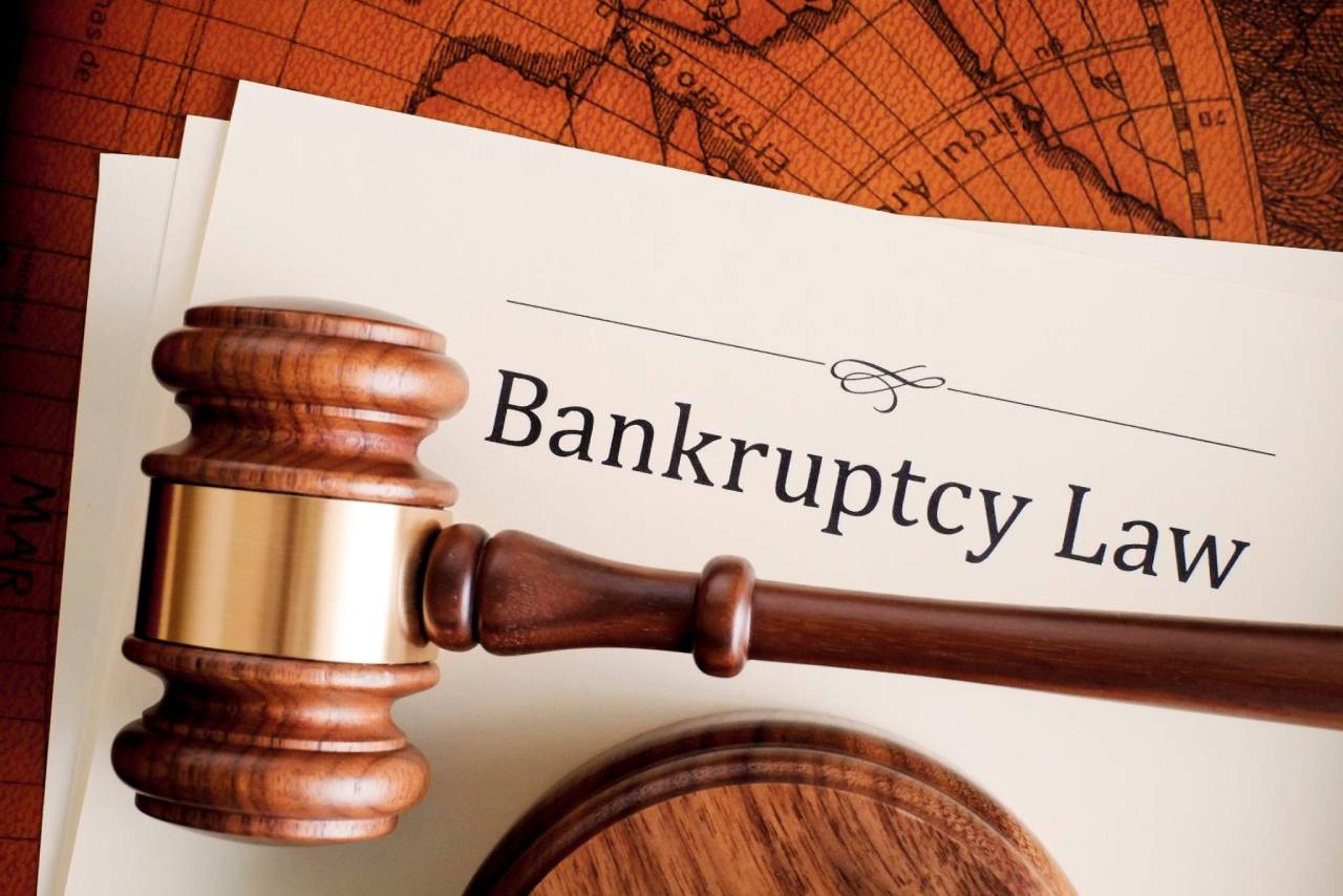 Understanding Bankruptcy_ A Detailed Explanation of the Process and Relevant Authorities
