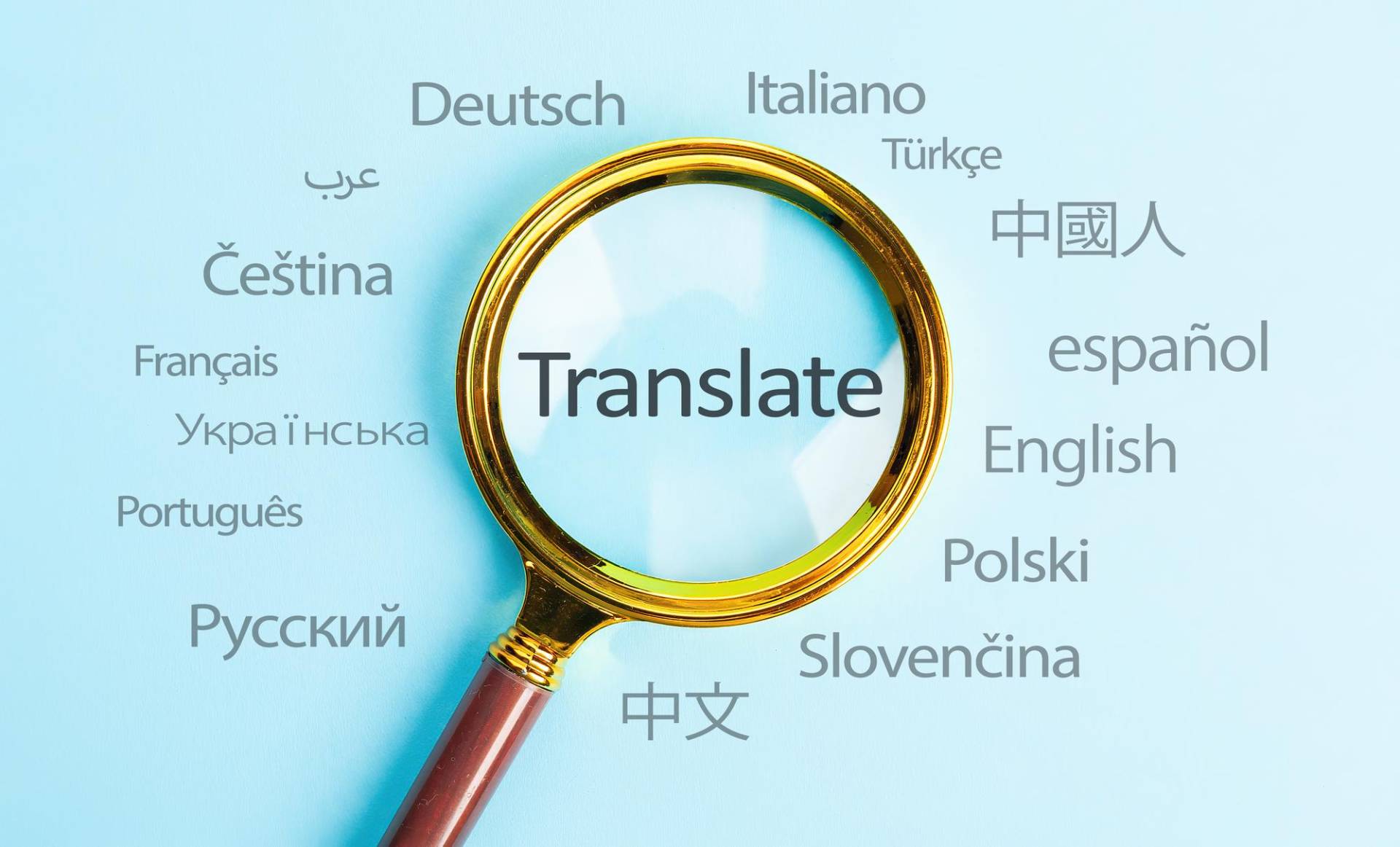 Document Translation