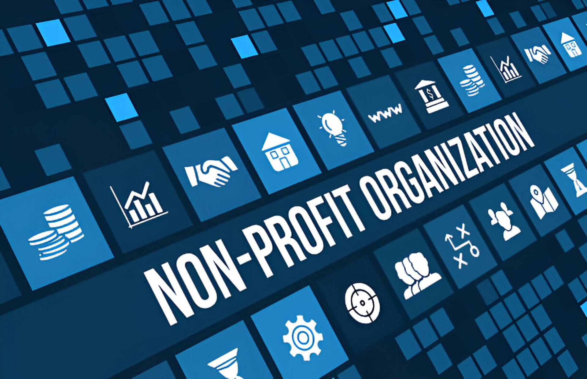 Non-Profit Corporation